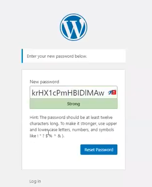 Screenshot of final step of WordPress password reset