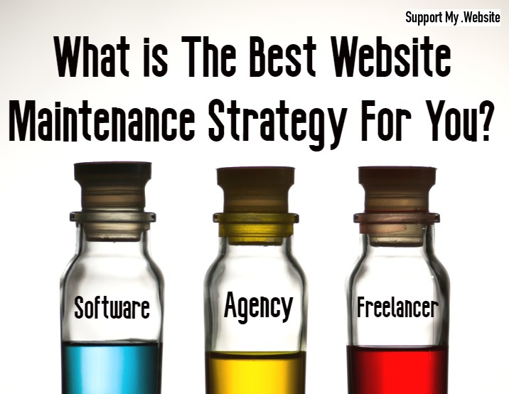 What's the best website maintenance strategy for you? Software? Freelancer? Agency?