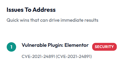 A website assessment report doen by SupportMy.Website highlighting a vulnerable WordPress plugin, Elementor, flagged with CVE‑2021‑24891, demonstrating how plugin issues and vulnerabilities impact WordPress site maintenance.